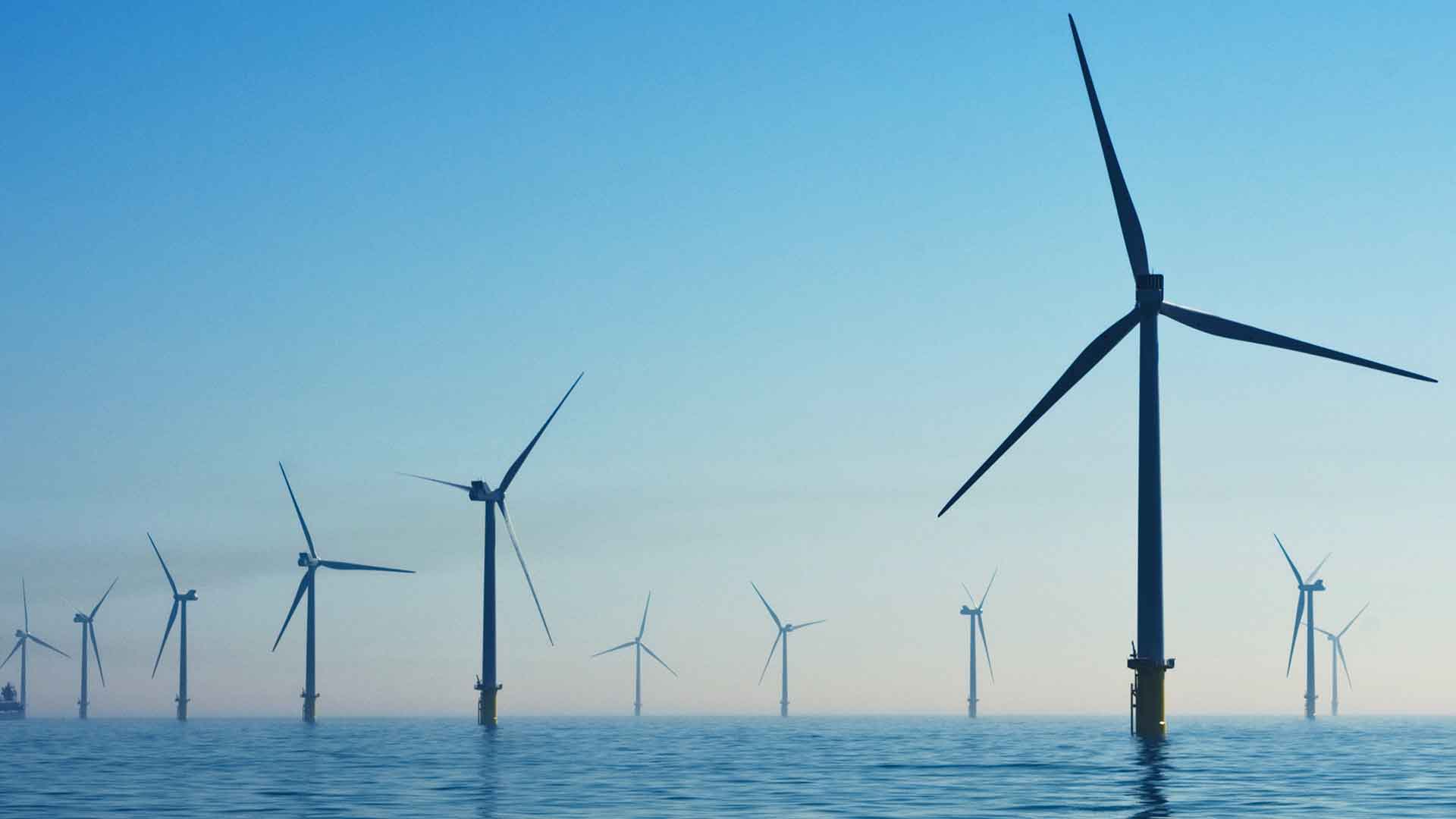 Renewable Future